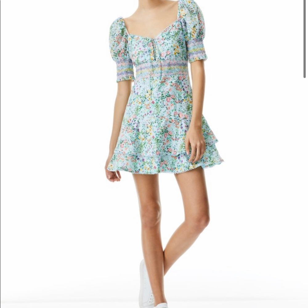 New Alice and Olivia Dress